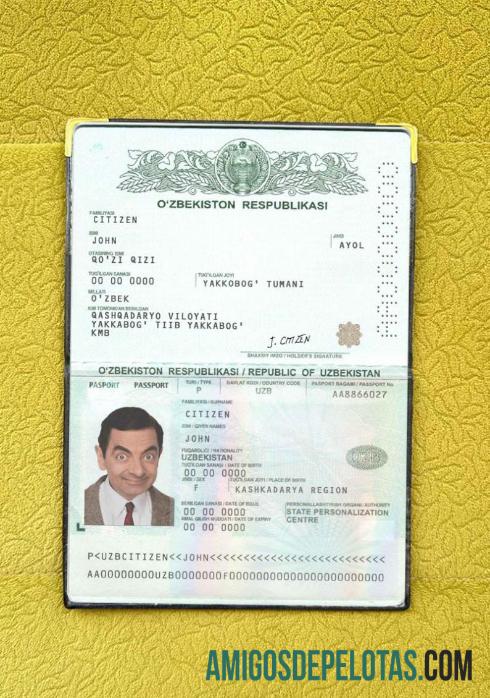 Look fotográfico do passe para o Uzbequistão modelo